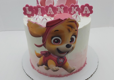tortadetskapawpatrolskyedievcatorticka_copy_1